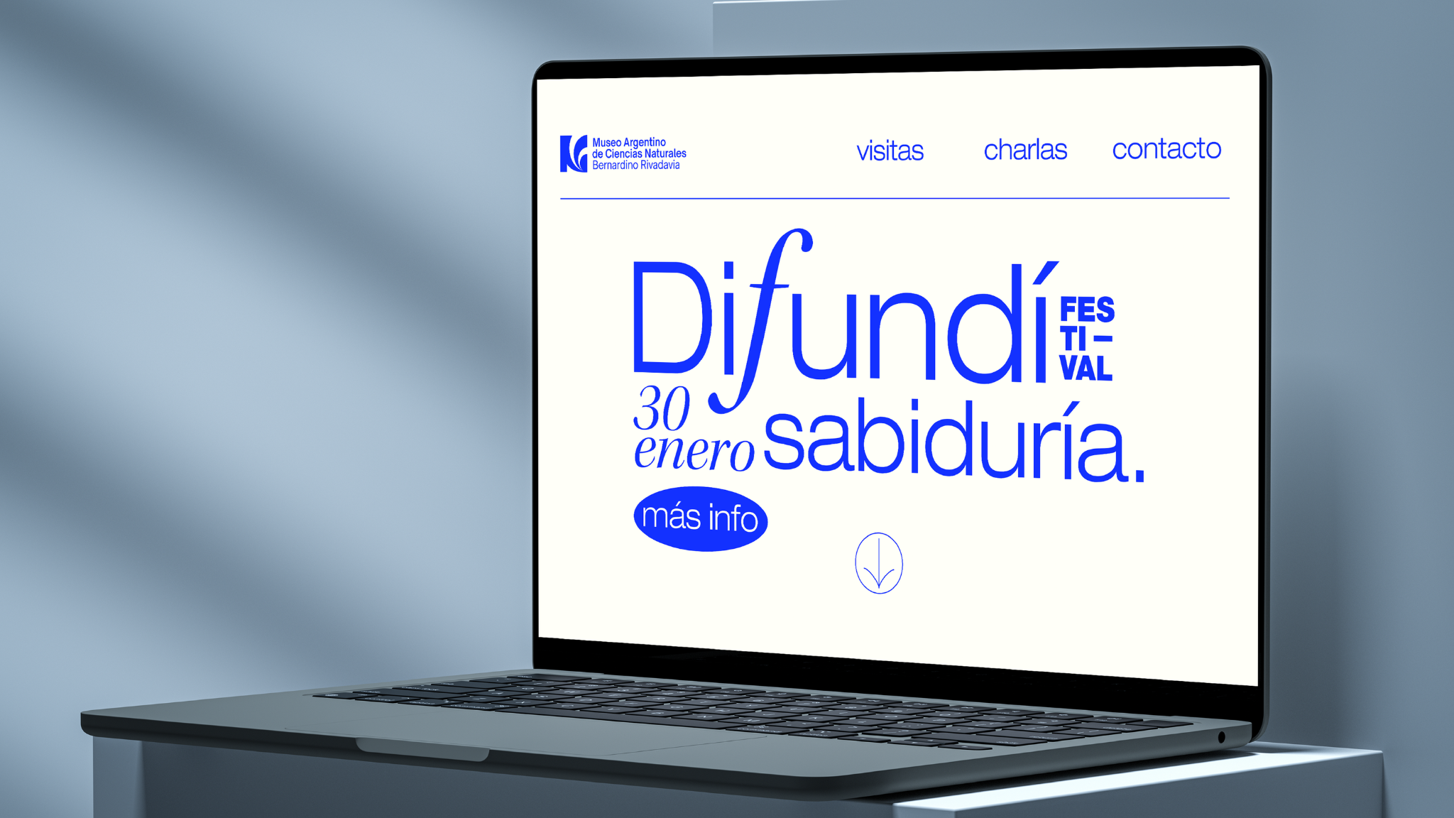 Experiencia web desktop
